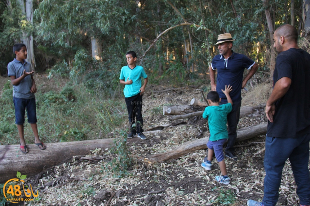 mokhayam picrtyere (98).jpeg